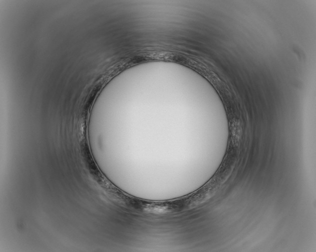 X0000111200602200907011031
