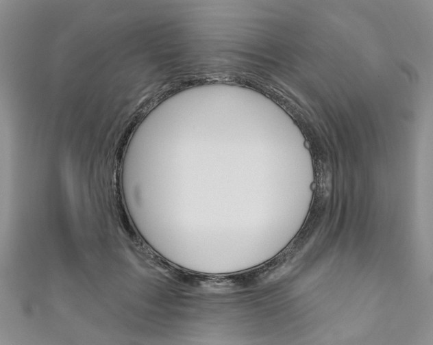 X0000111200603200907011031