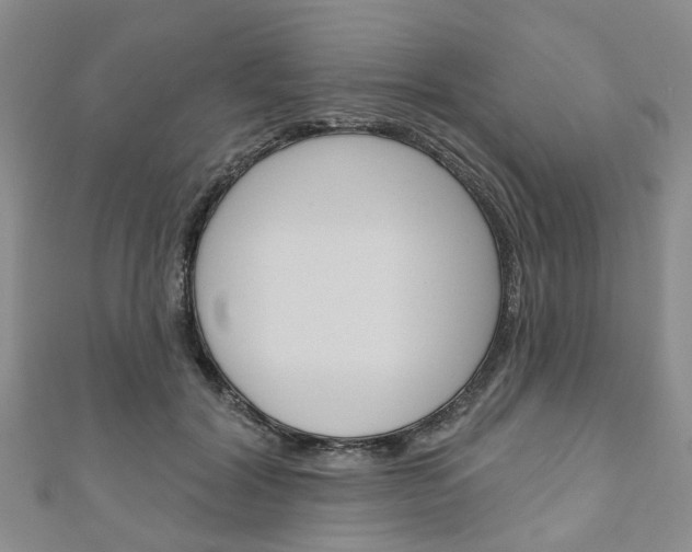 X0000111200604200907011031