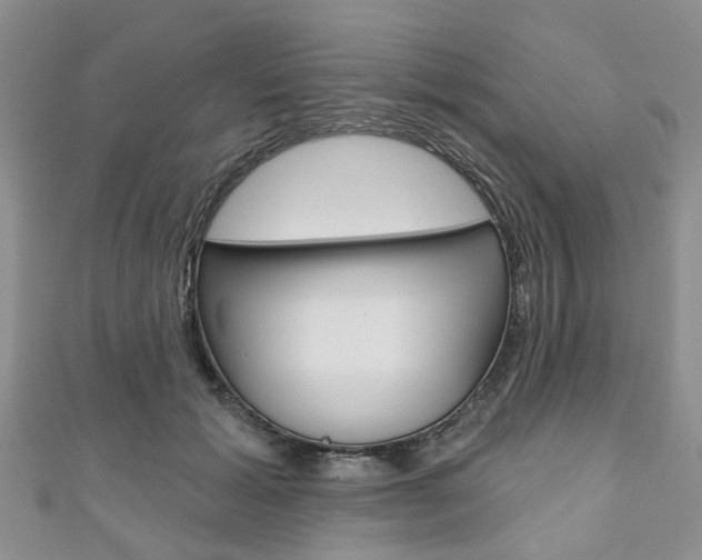 X0000111200605200907011031