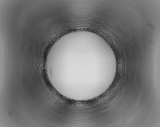 X0000111200608200907011031