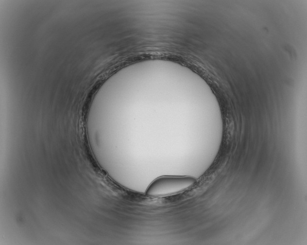 X0000111200609200907011031