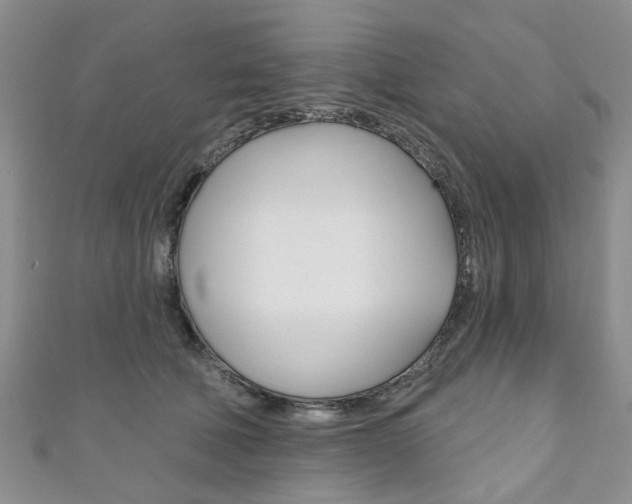 X0000111200610200907011031