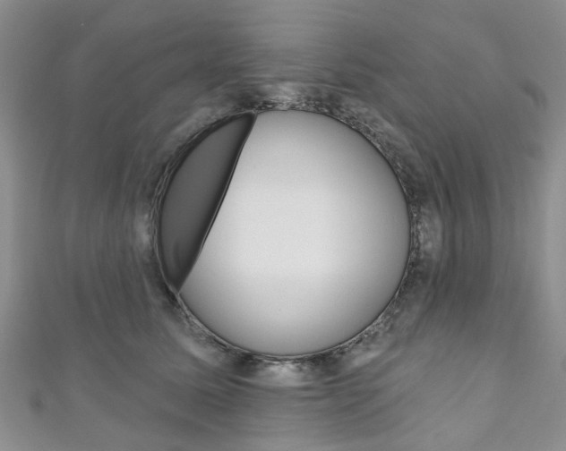 X0000111200611200907011031