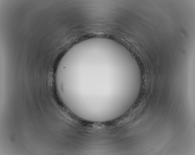 X0000111200612200907011031
