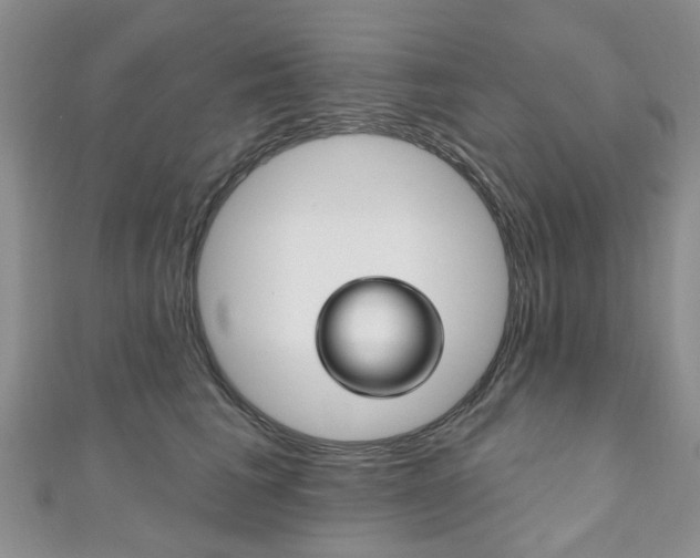 X0000111200613200907011031