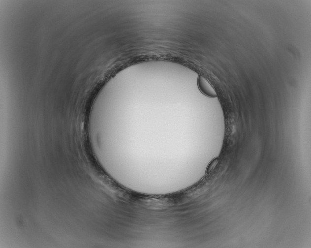 X0000111200615200907011031