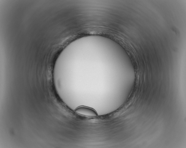 X0000111200620200907011031