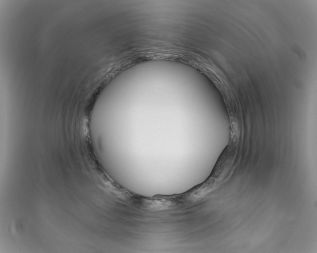 X0000111200621200907011031