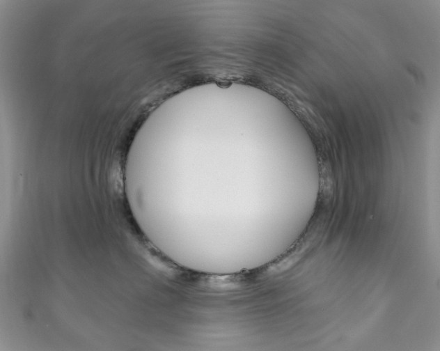 X0000111200622200907011031