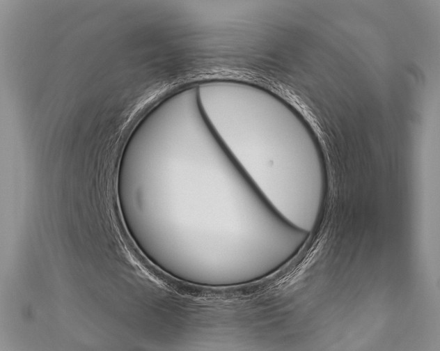 X0000111200625200907011030