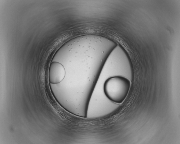 X0000111200626200907011030
