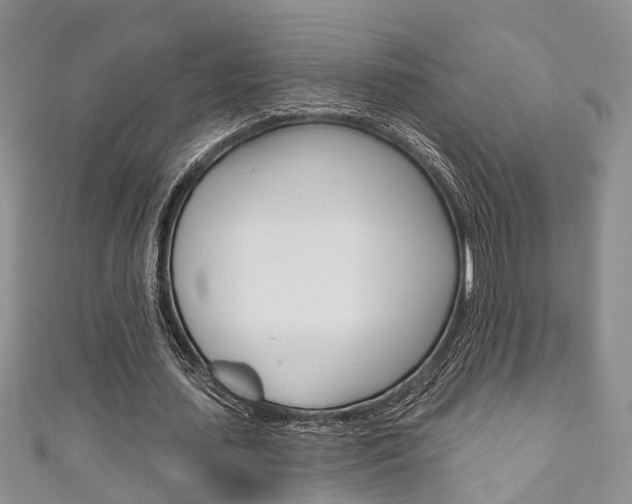 X0000111200627200907011030