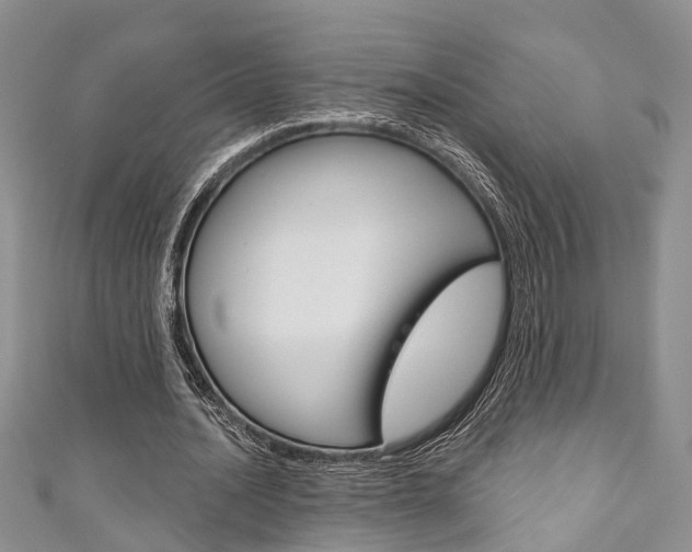 X0000111200628200907011030