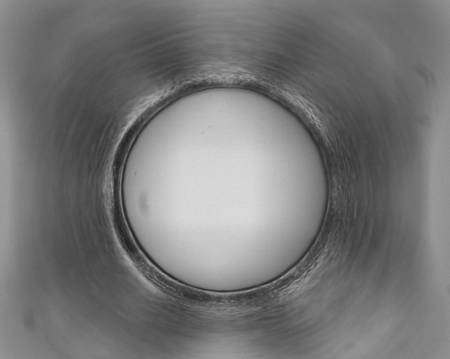 X0000111200630200907011030