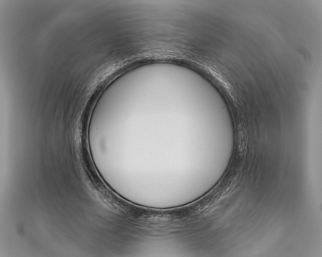 X0000111200631200907011030