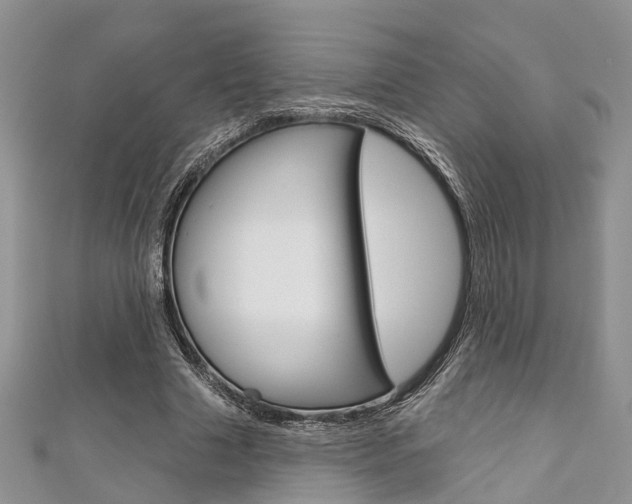 X0000111200633200907011030
