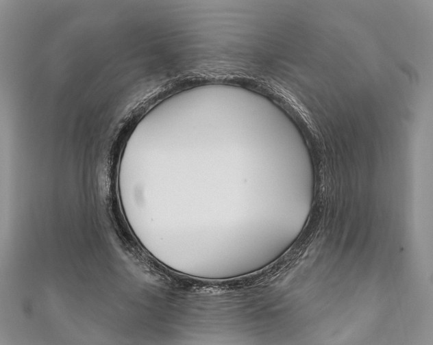 X0000111200635200907011031