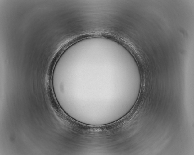 X0000111200636200907011031