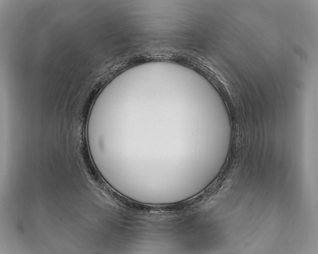 X0000111200641200907011031