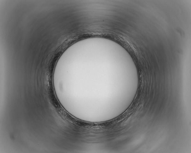 X0000111200643200907011031