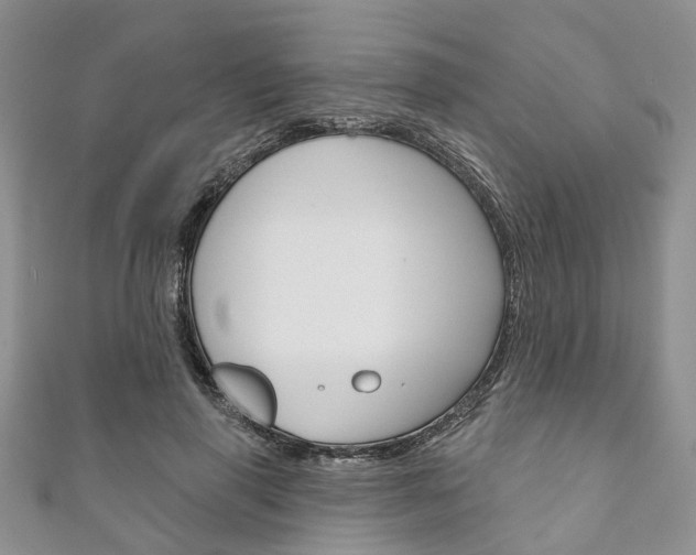 X0000111200645200907011031