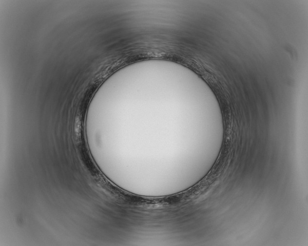 X0000111200646200907011031