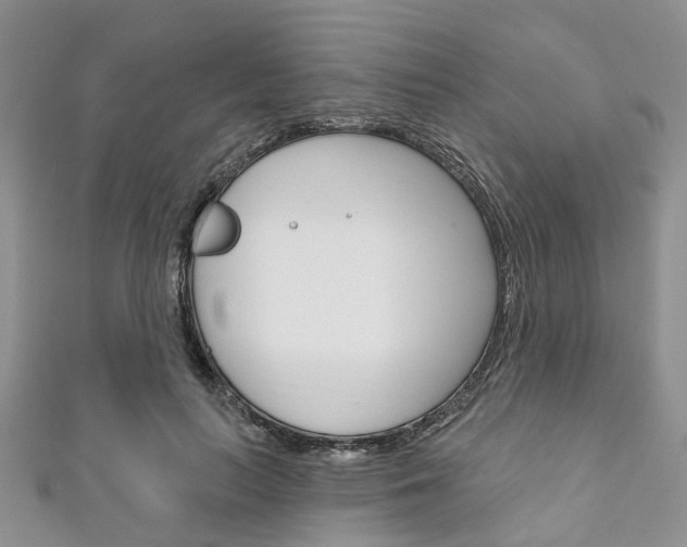X0000111200647200907011031