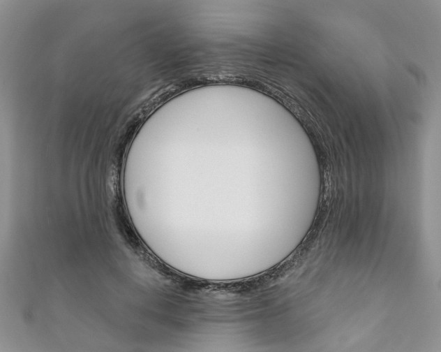 X0000111200648200907011031