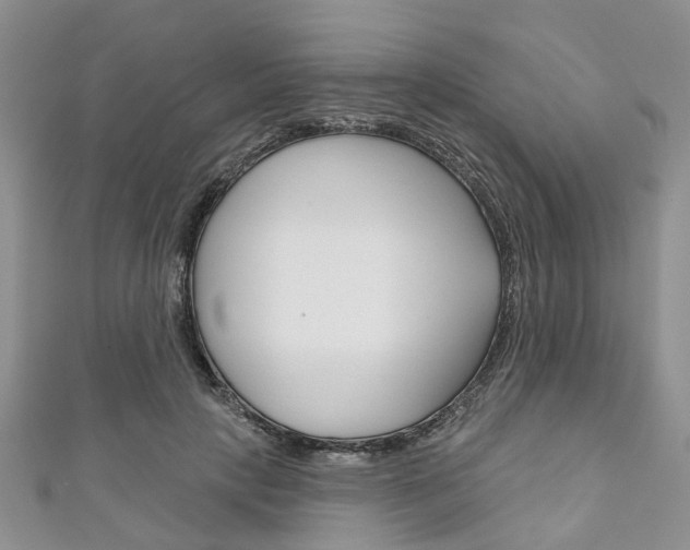 X0000111200649200907011031