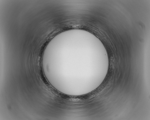 X0000111200650200907011031