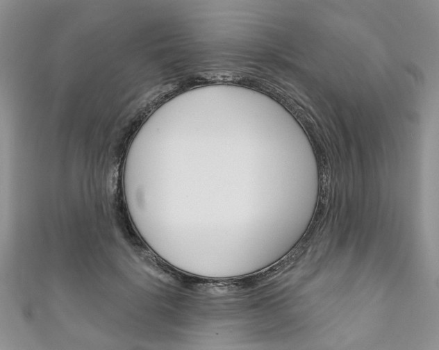 X0000111200652200907011031