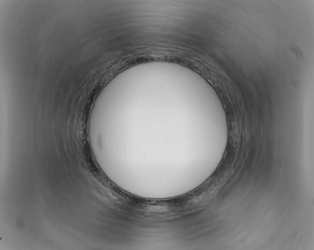 X0000111200653200907011031