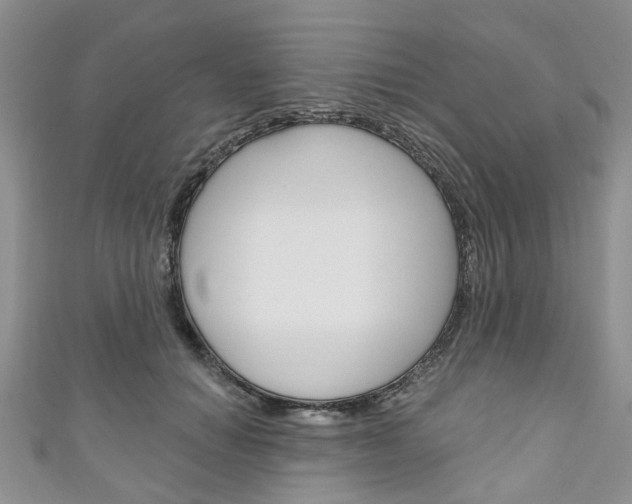 X0000111200654200907011031