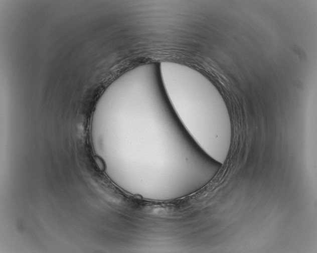 X0000111200655200907011031