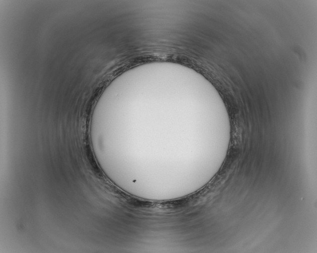 X0000111200656200907011031