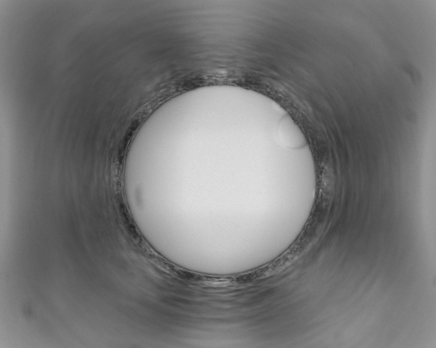 X0000111200659200907011031
