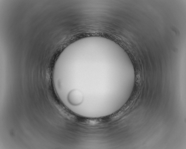 X0000111200662200907011031