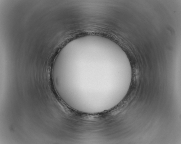 X0000111200664200907011031