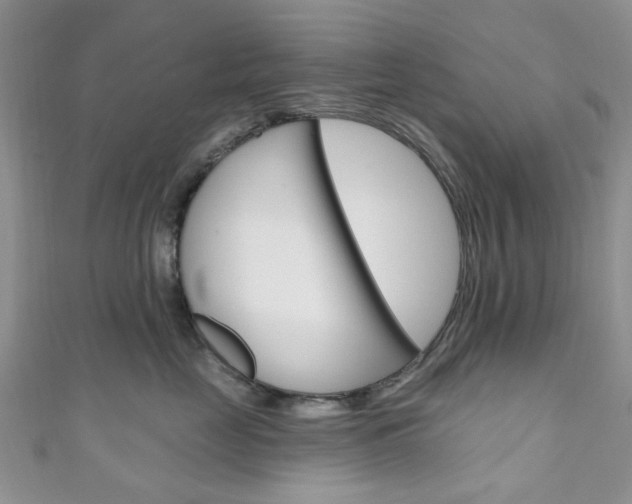 X0000111200669200907011031