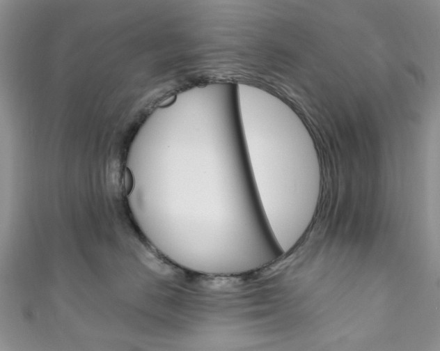 X0000111200670200907011031