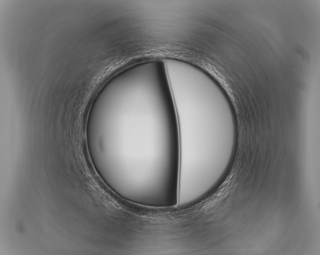 X0000111200673200907011030
