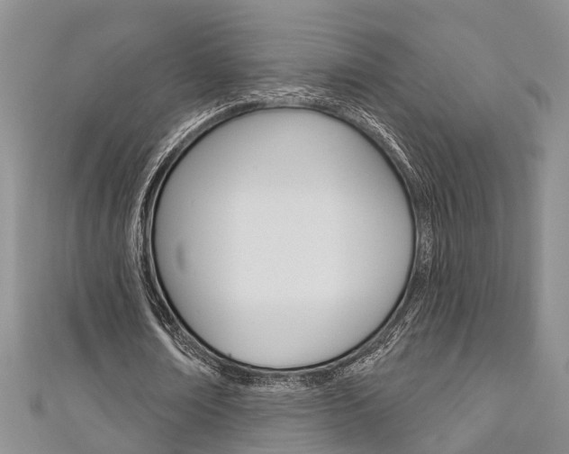 X0000111200674200907011030