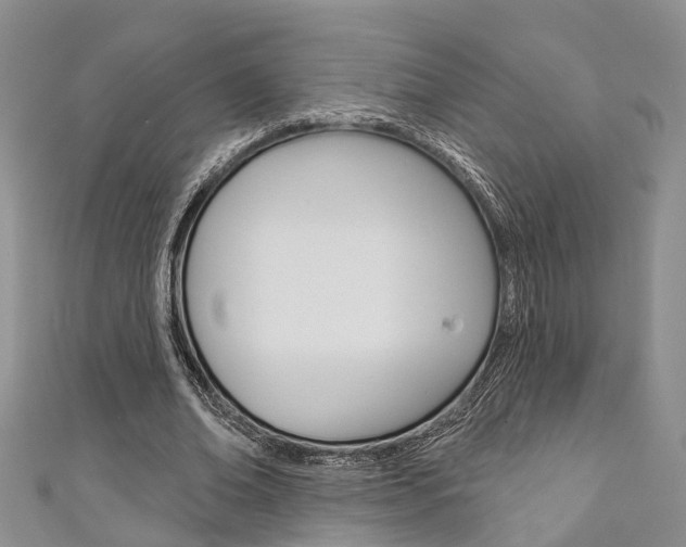 X0000111200678200907011030