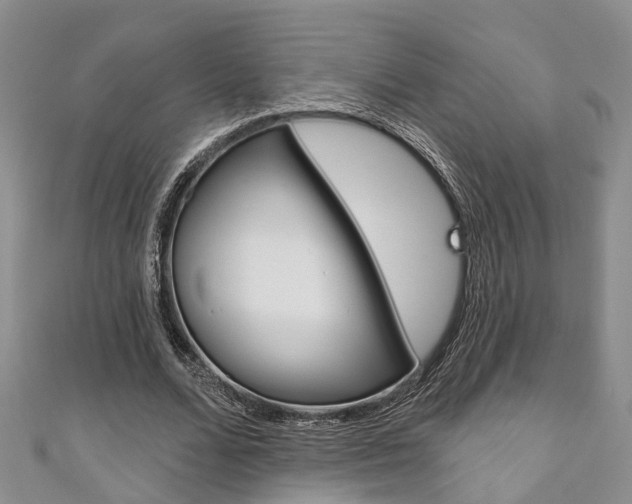 X0000111200680200907011030