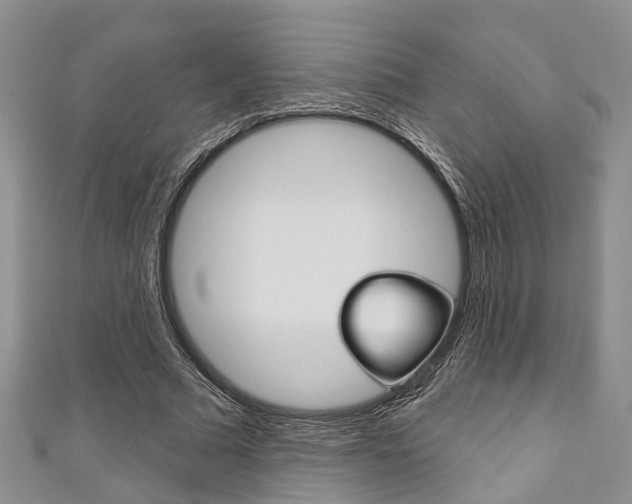 X0000111200681200907011030