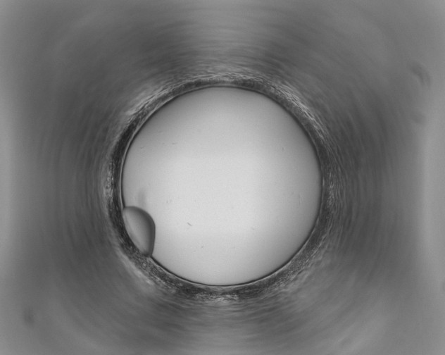 X0000111200683200907011030