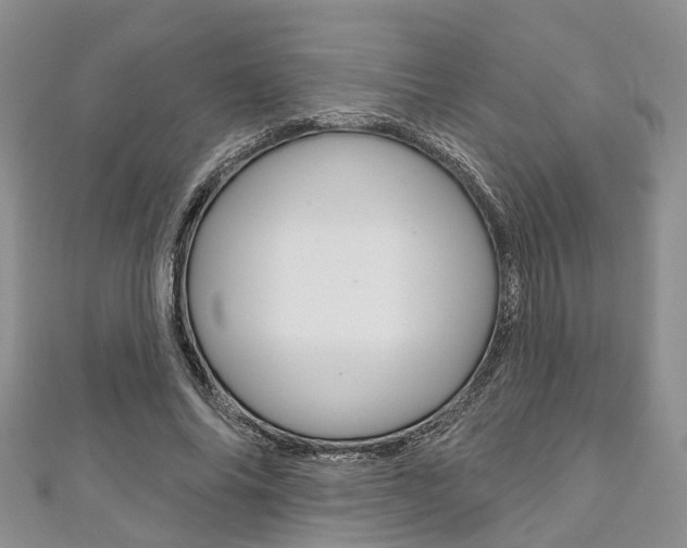 X0000111200686200907011030