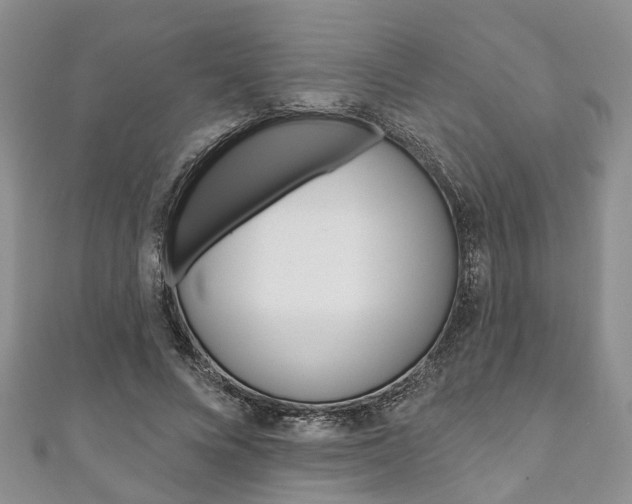 X0000111200688200907011030