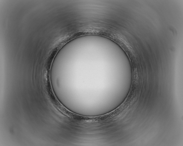 X0000111200692200907011030